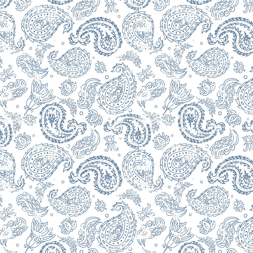 Coarse Paisley Pattern 4-Piece Sheet Set