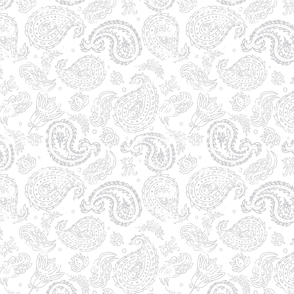 Coarse Paisley Pattern 4-Piece Sheet Set